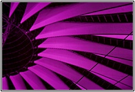 Magenta Spokes