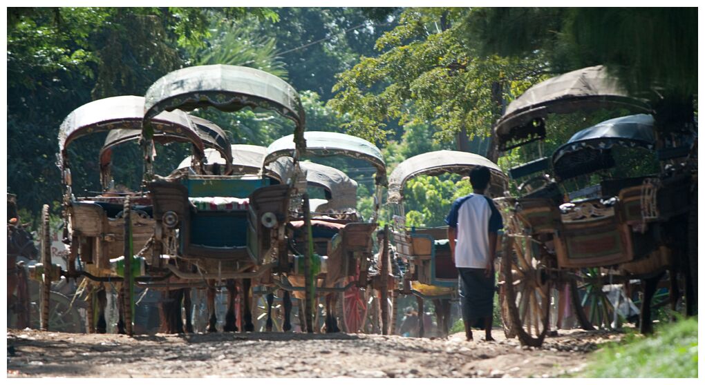 Carts in Ava