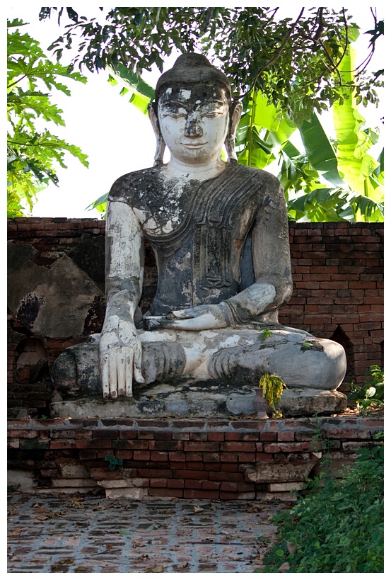 Lonely Buddha