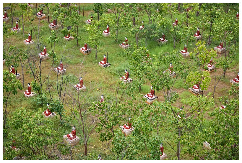 Bodhi Tahtaung Forest