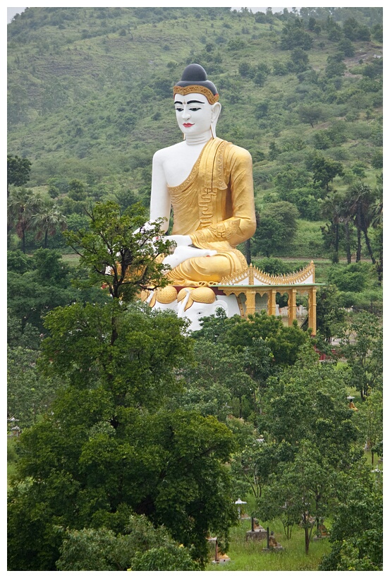 Sitting Buddha