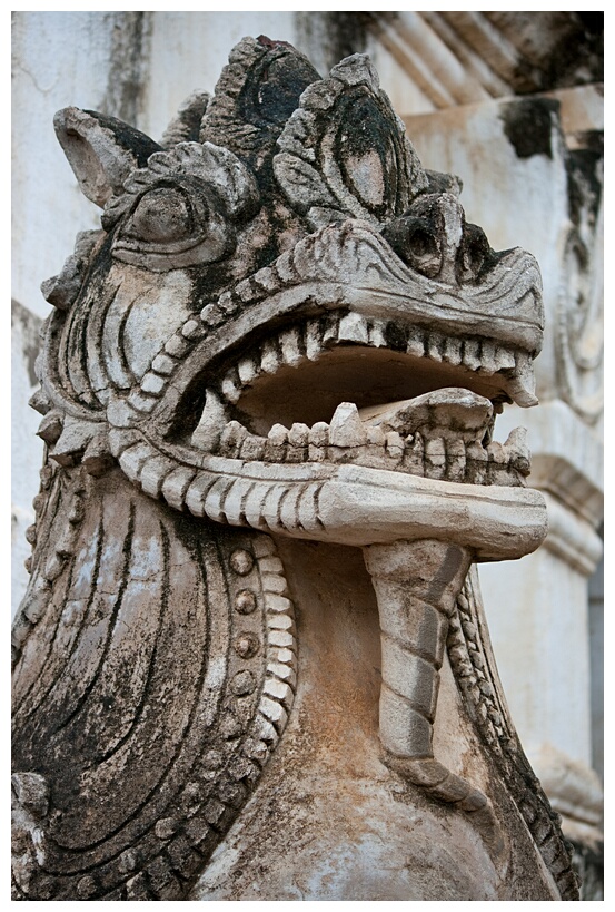 Dragon Head