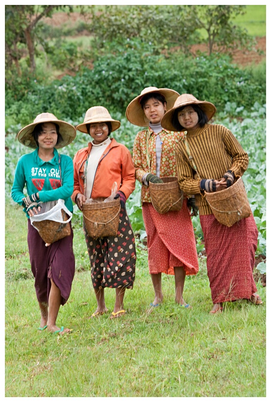 Burmese Farmer