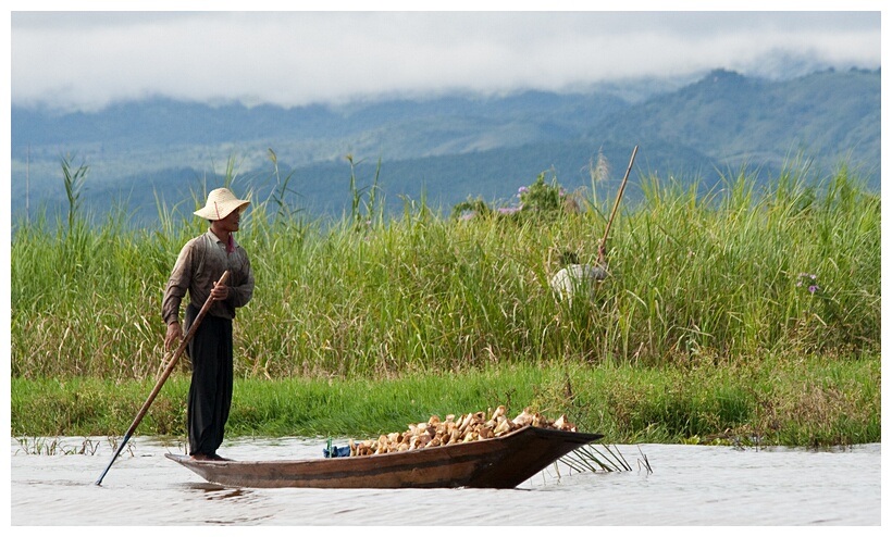 Row Boat