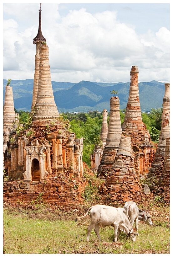 In Dein Stupas