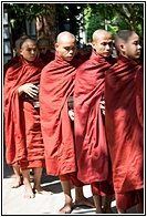 Buddhist Monks