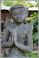 Wooden Woman