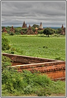 Brick and Grass