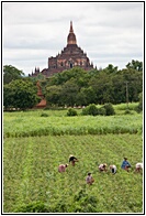 Rustic Bagan