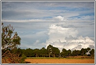 Myanmar Landscape