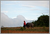 Returning Home
