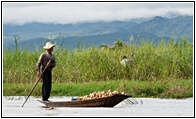 Row Boat
