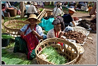 Vegetable Stall