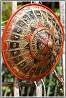 Traditional Hat