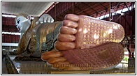 Buddha's Feet