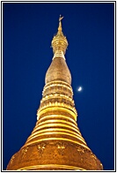 Under the Moon