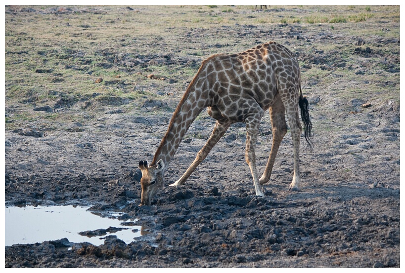 Drinking Water