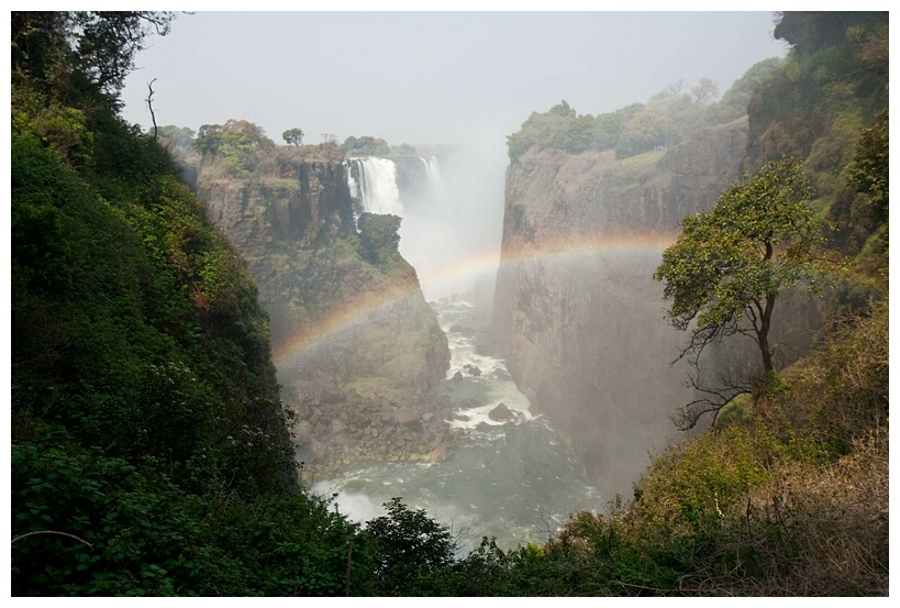 Cataract View