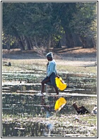 Going for Water