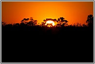 Here Comes the Sun
