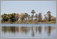 River's Waters