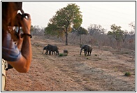 Taking Photographs