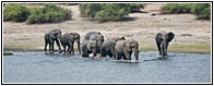Chobe Riverfront