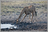 Drinking Water