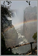 Amazing Rainbow