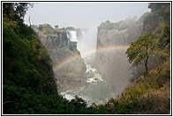 Cataract View