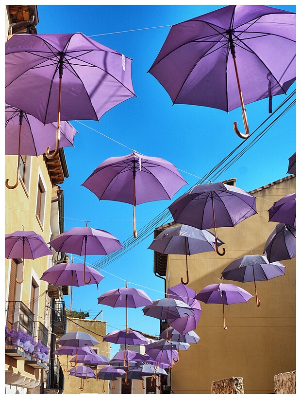 Festival de la Lavanda
