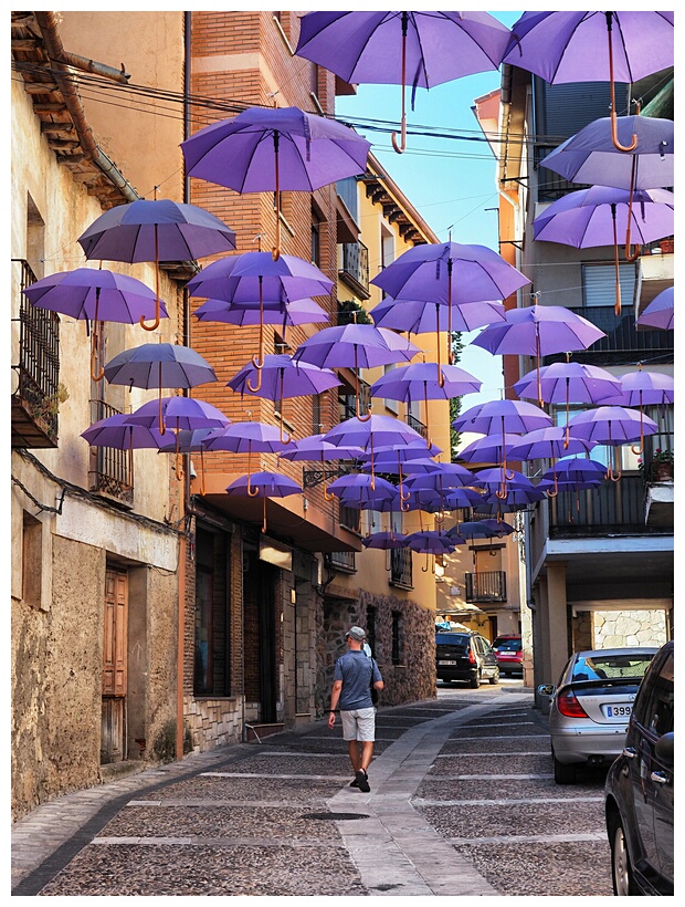 Festival de la Lavanda