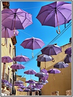 Festival de la Lavanda