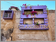 Festival de la Lavanda