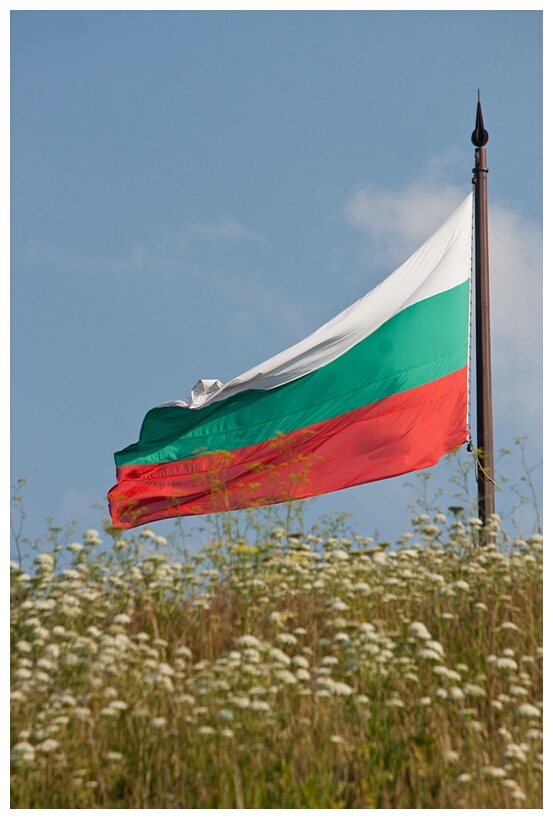 Bulgarian Flag