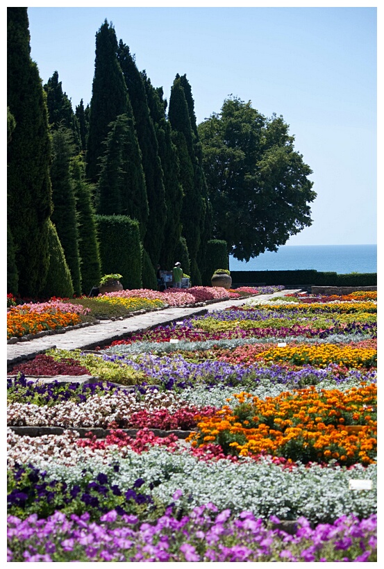 Botanical Gardens