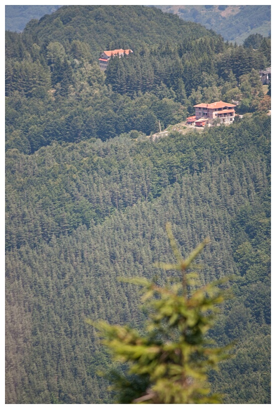 Central Balkan National Park