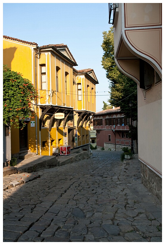 National Revival Houses