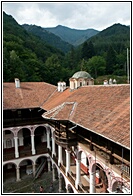 Forested Mountains