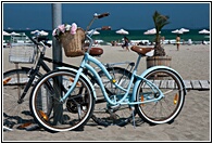 Blue Bike
