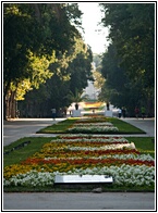 Sea Gardens