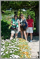 Flowers between Flowers