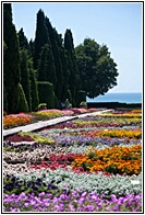Botanical Gardens