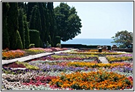 Botanical Garden