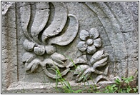 Nikopolis ad Istrum