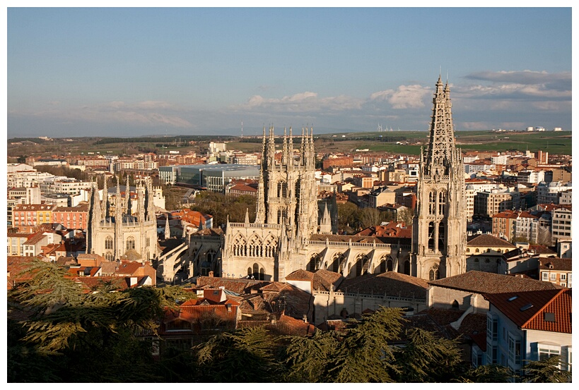 La Catedral