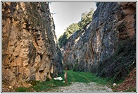 Atapuerca