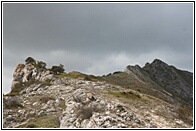 Portillo de Busto