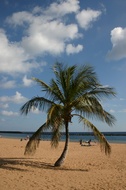 Teresita's beach