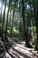 Garajonay National Park